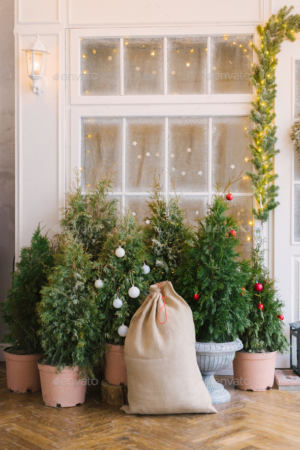 Christmas trees in pots near the house and a bag of Santa Claus with